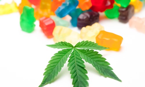 A vibrantly green cannabis leaf is placed in the foreground of a pile of marijuana gummy bears of different colors.