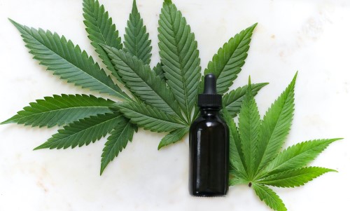 A black cannabis oil bottle with a dropper top lays upon three beautifully green leaves from various cannabis plants.