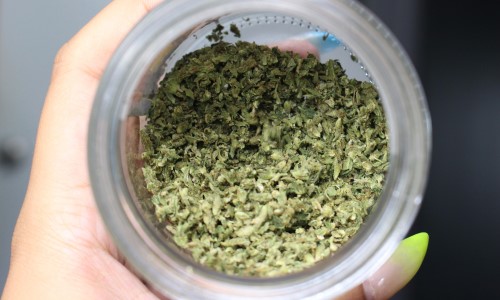A woman with beautifully manicured nails with neon yellow tips holds a glass jar with cannabis inside.