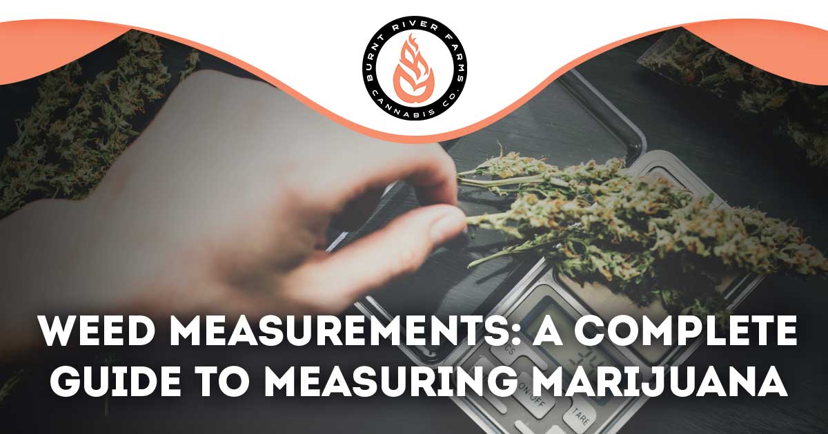 Weed Measurement Guide: Get a Visual of Common Weights