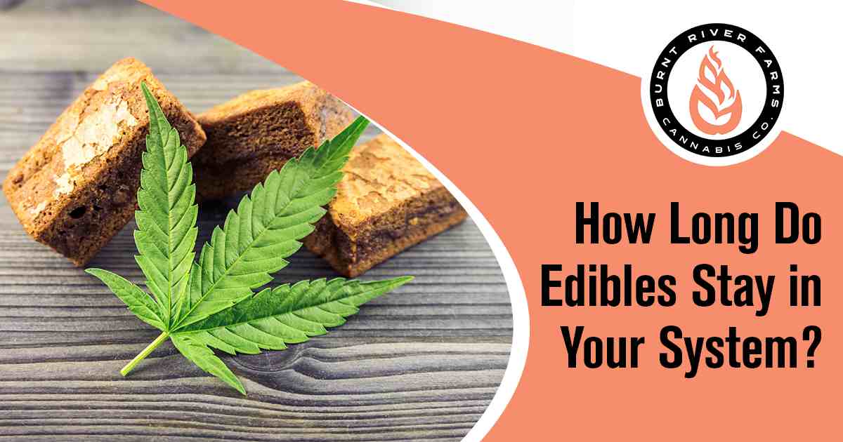 How long do edibles stay in your hair?