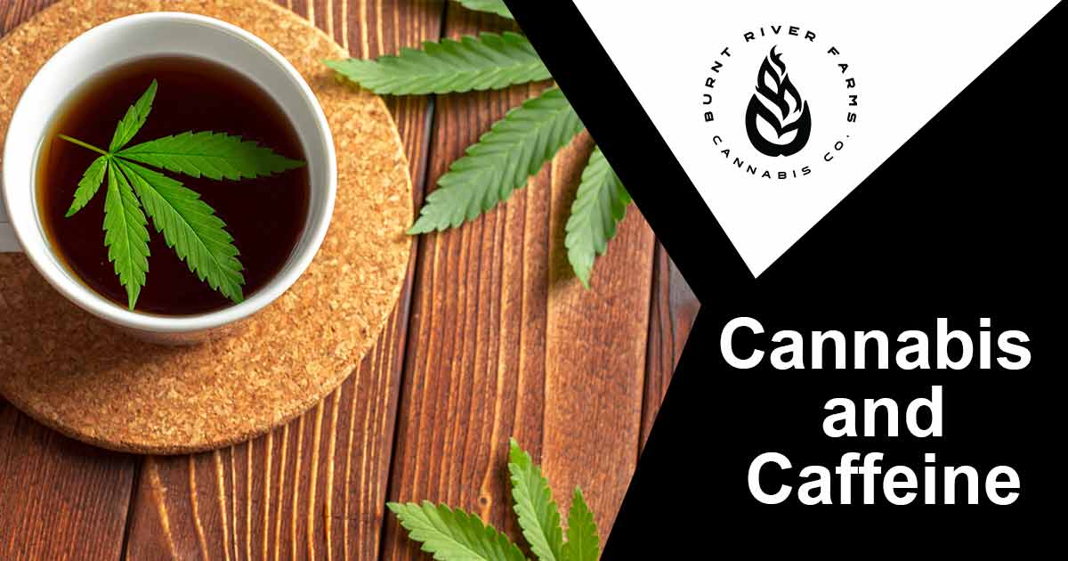 Image of a cup of coffee with marijuana leaves. Finding the perfect balance between energy and relaxation can be difficult. Too much caffeine can leave you feeling jittery while too much cannabis can lead to an overwhelming, lethargic experience. If you don't get the dosage just right, you're left with an unsatisfying and underwhelming experience that detracts from your quality of life. Burnt River Farms has mastered the art of combining cannabis & caffeine, providing a balanced and satisfying experience every time. Enjoy high-quality energetic boosts along with deep relaxation all from one product! Unlock the power of Burnt River Farms, Cannabis and Caffeine today.